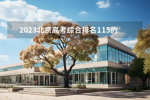 2023北京高考綜合排名115的考生報(bào)什么大學(xué)